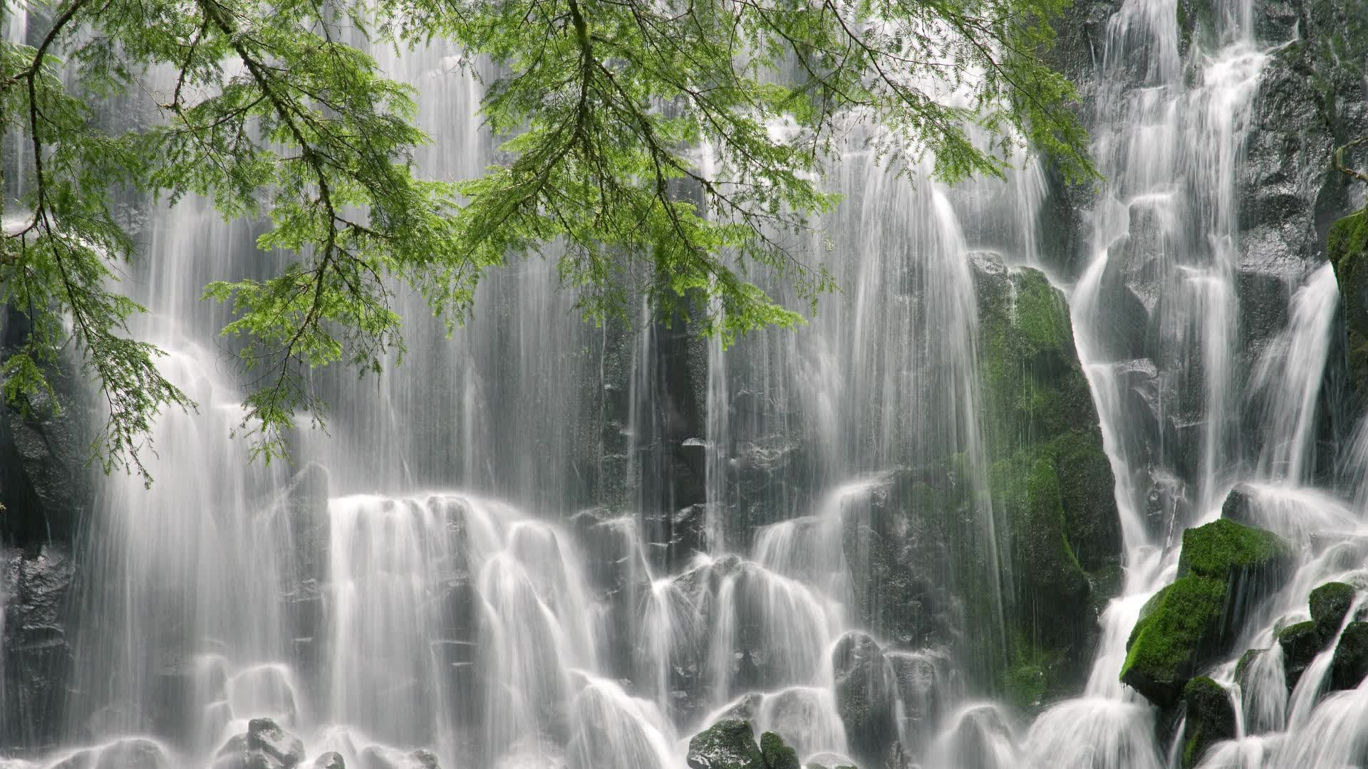 2006年布冯:意大利防线的最后屏障,布冯回归意大利