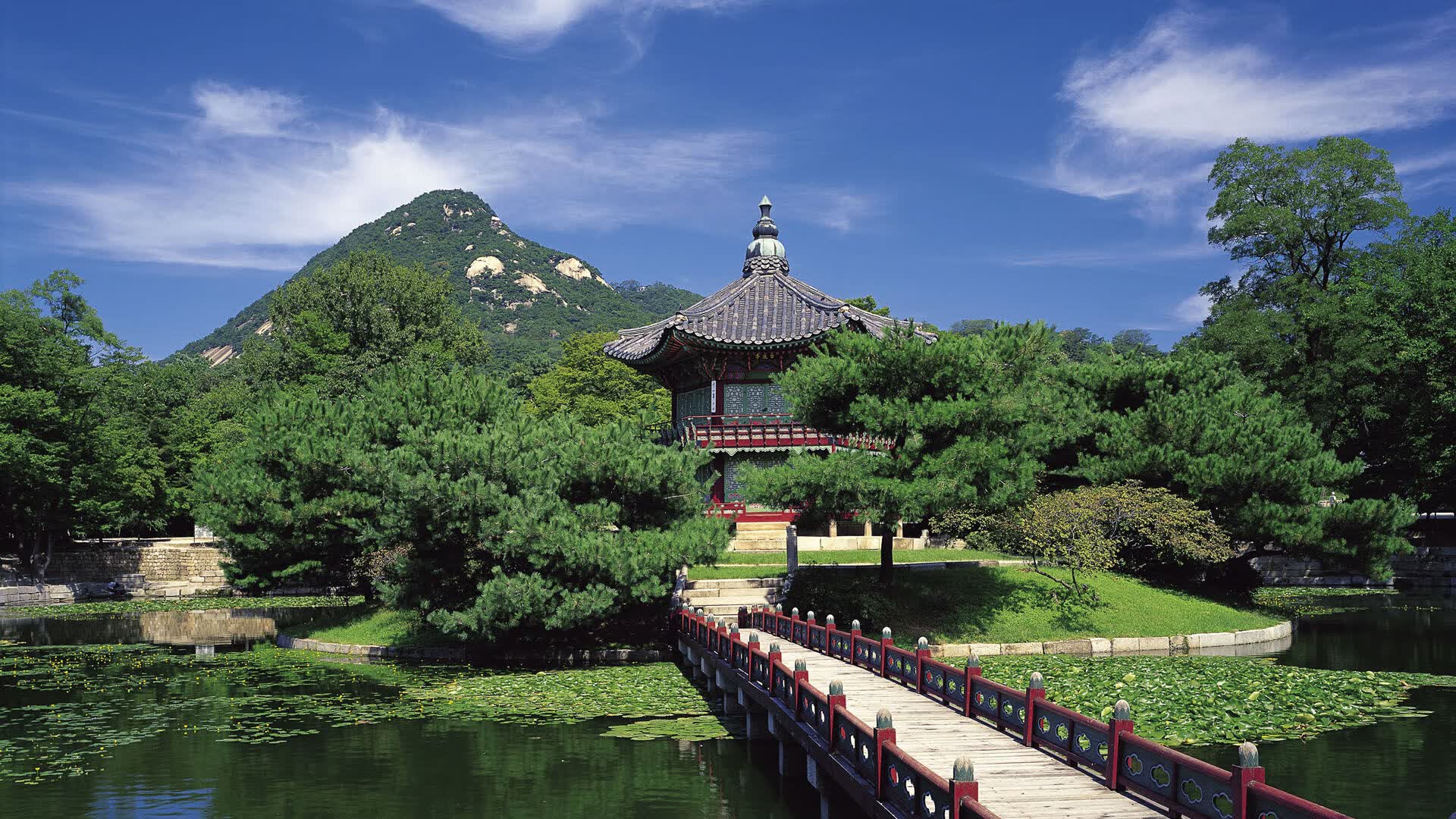 世界攀岩场馆公益课程扩展试点城市名单公布,国际攀岩